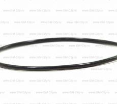 Кольцо уплотнительное gm Opel Astra J